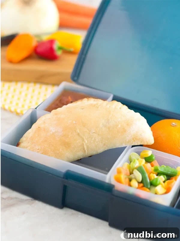 Kid-Friendly Lunchbox Empanadas, golden-brown pastries filled with savory ingredients.