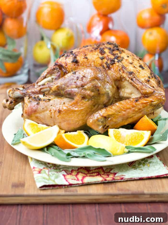 A beautifully roasted turkey adorned with fresh orange wedges and herbs.