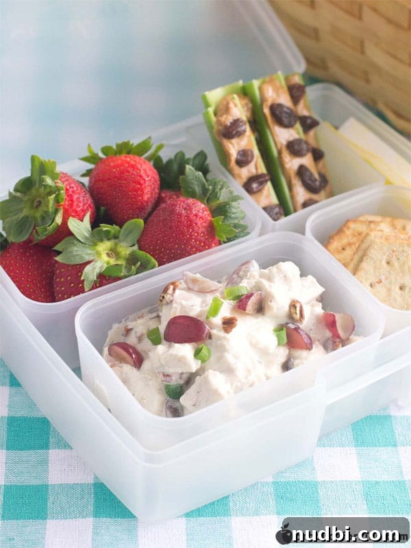 Easy Picnic Bento Box