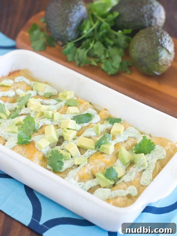 Flavorful Chicken Avocado Enchiladas, garnished with cilantro.