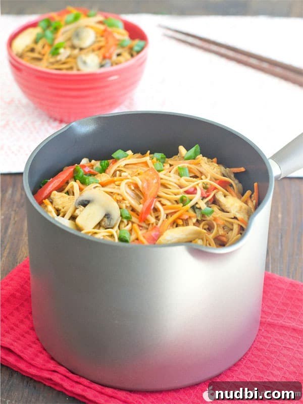 A large bowl of One-Pot Chicken Lo Mein, brimming with noodles, chicken, and colorful vegetables.