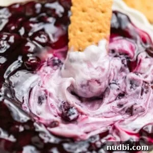 Creamy Blueberry Cheesecake Dip Recipe for Fruit & Crackers 9 Graham cracker dipped into cheesecake dip topped with blueberries.