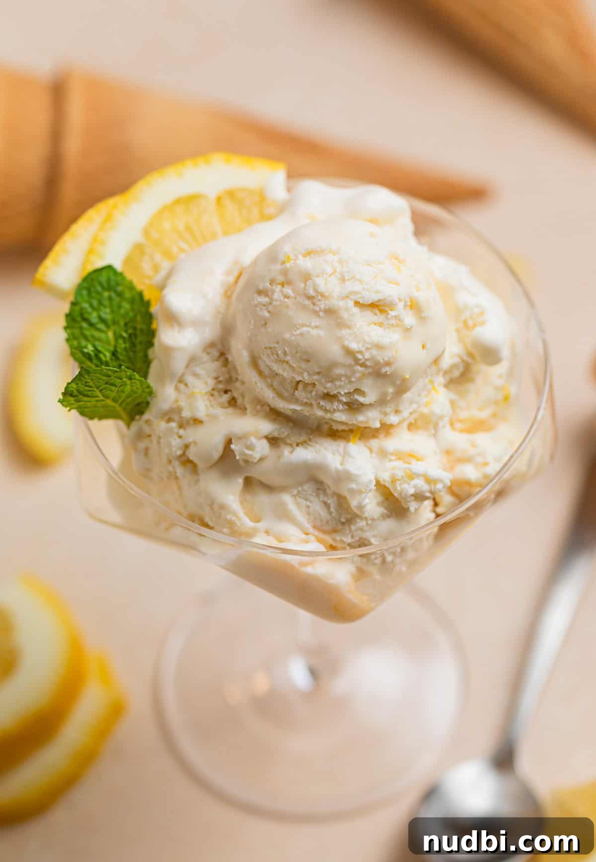 No-Churn Lemon Ice Cream Recipe — Creamy, Tart & Refreshing 2 Serving glass with no churn lemon ice cream scooped with lemon slices and fresh mint.