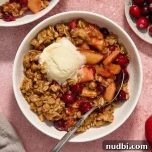 Cranberry Apple Crisp Recipe — Tart & Spiced Autumn Dessert 9 Bowl with cranapple crisp with vanilla ice cream and spoon propped in the bowl.