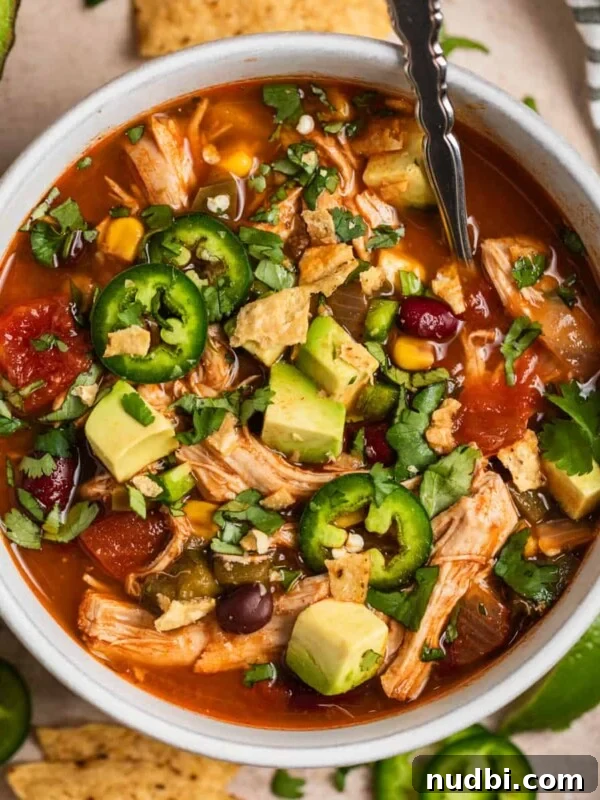 Crispy Instant Pot Carnitas Recipe for Tender, Crunchy Pork 11 Overhead view of bowl that has chicken soup with beans, peppers, corn, etc.