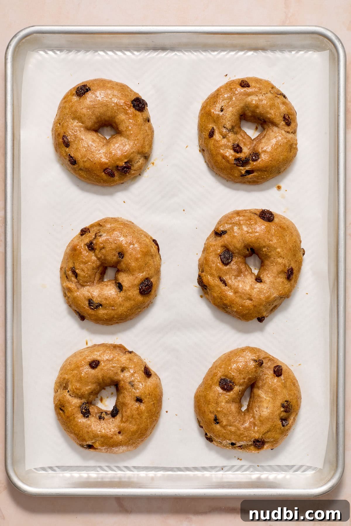 Cinnamon Raisin Bagel Recipe: Homemade Soft Chewy Bagels 11 Baked cinnamon raisin bagels on parchment lined pan.