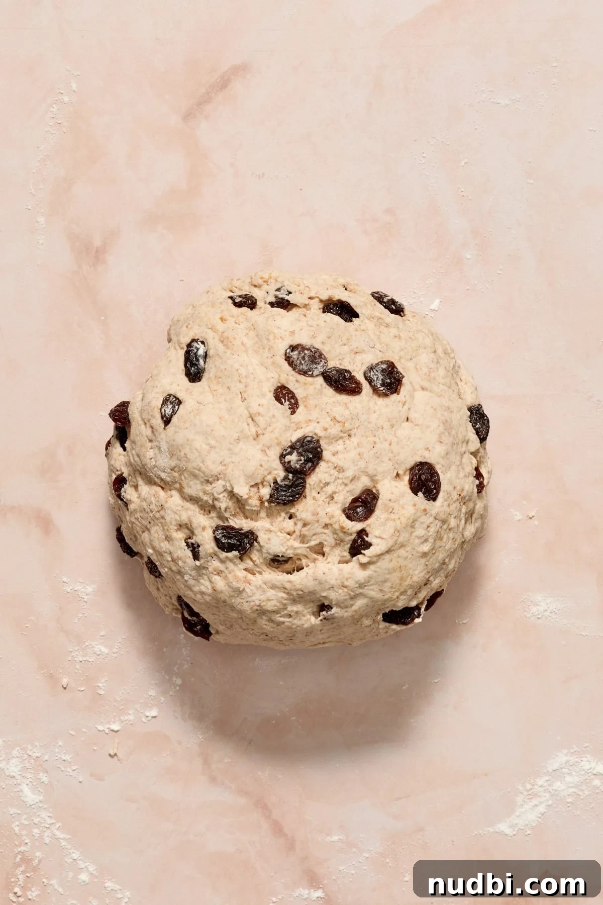 Cinnamon Raisin Bagel Recipe: Homemade Soft Chewy Bagels 8 Rolled ball of cinnamon raisin bagel dough.