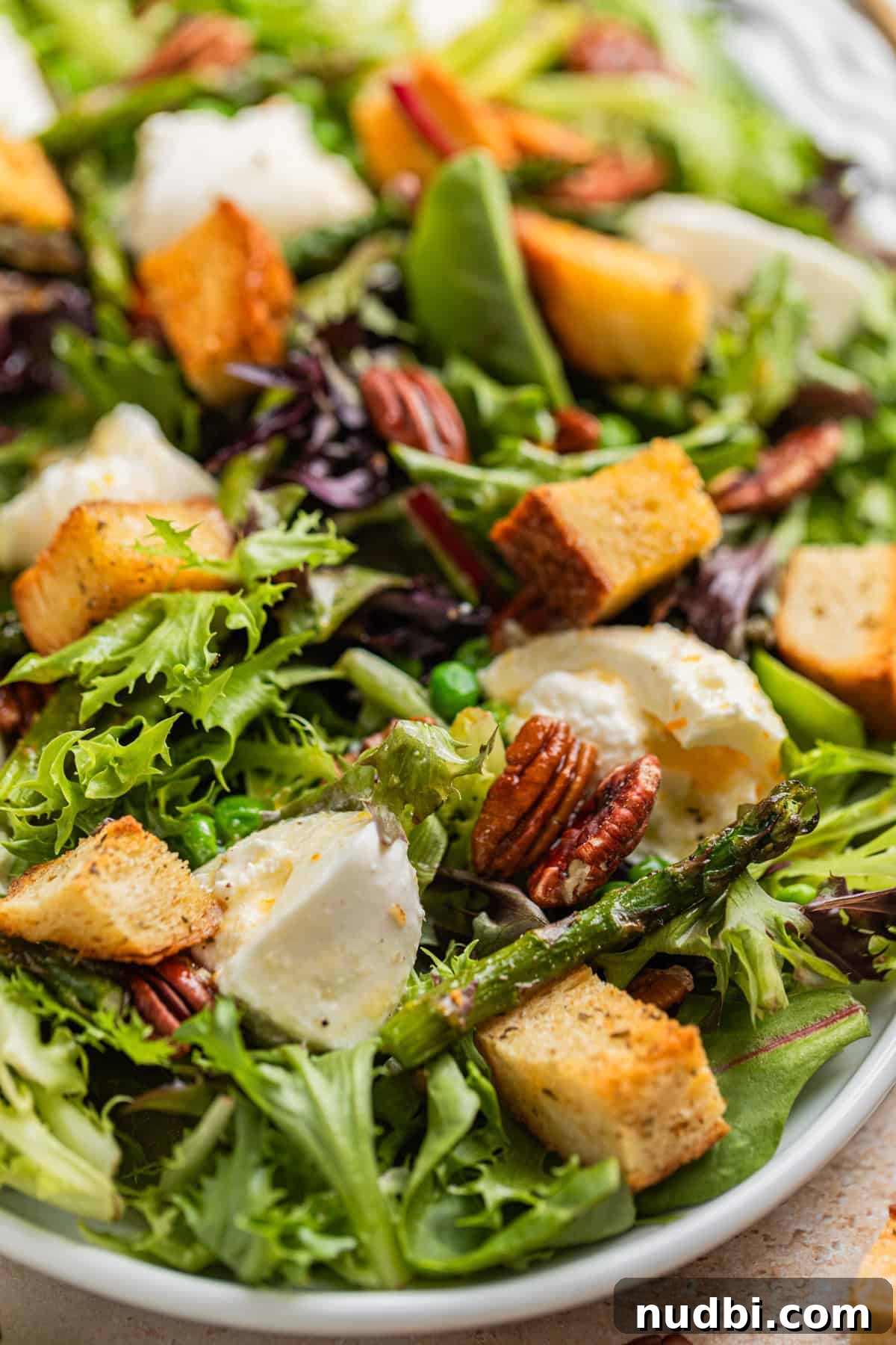 Spring Green Burrata Salad with Lemon Herb Vinaigrette 9 Dressing topped burrata and spring green salad.