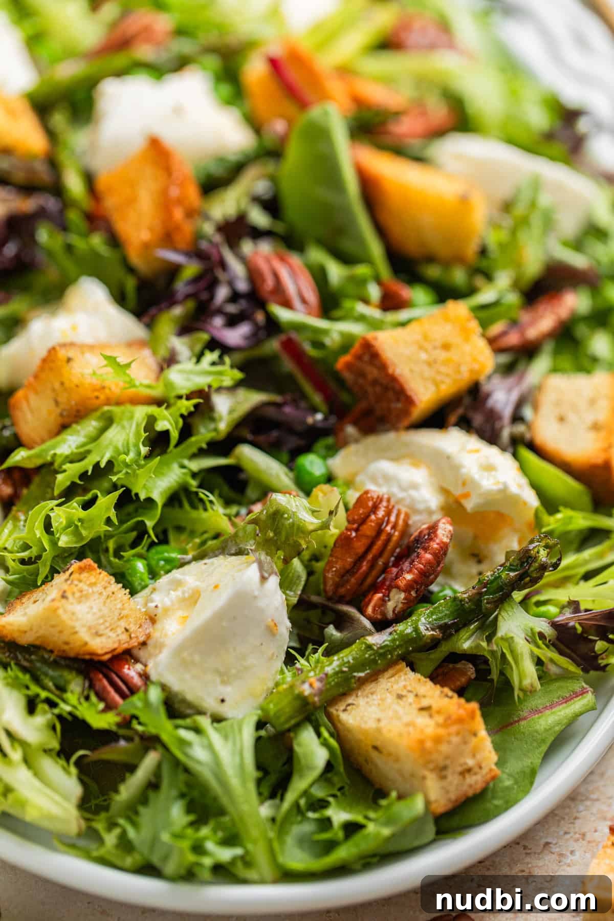 Spring Green Burrata Salad with Lemon Herb Vinaigrette 10 Green salad topped with burrata cheese, sourdough croutons, peas and asparagus and a citrus dressing.