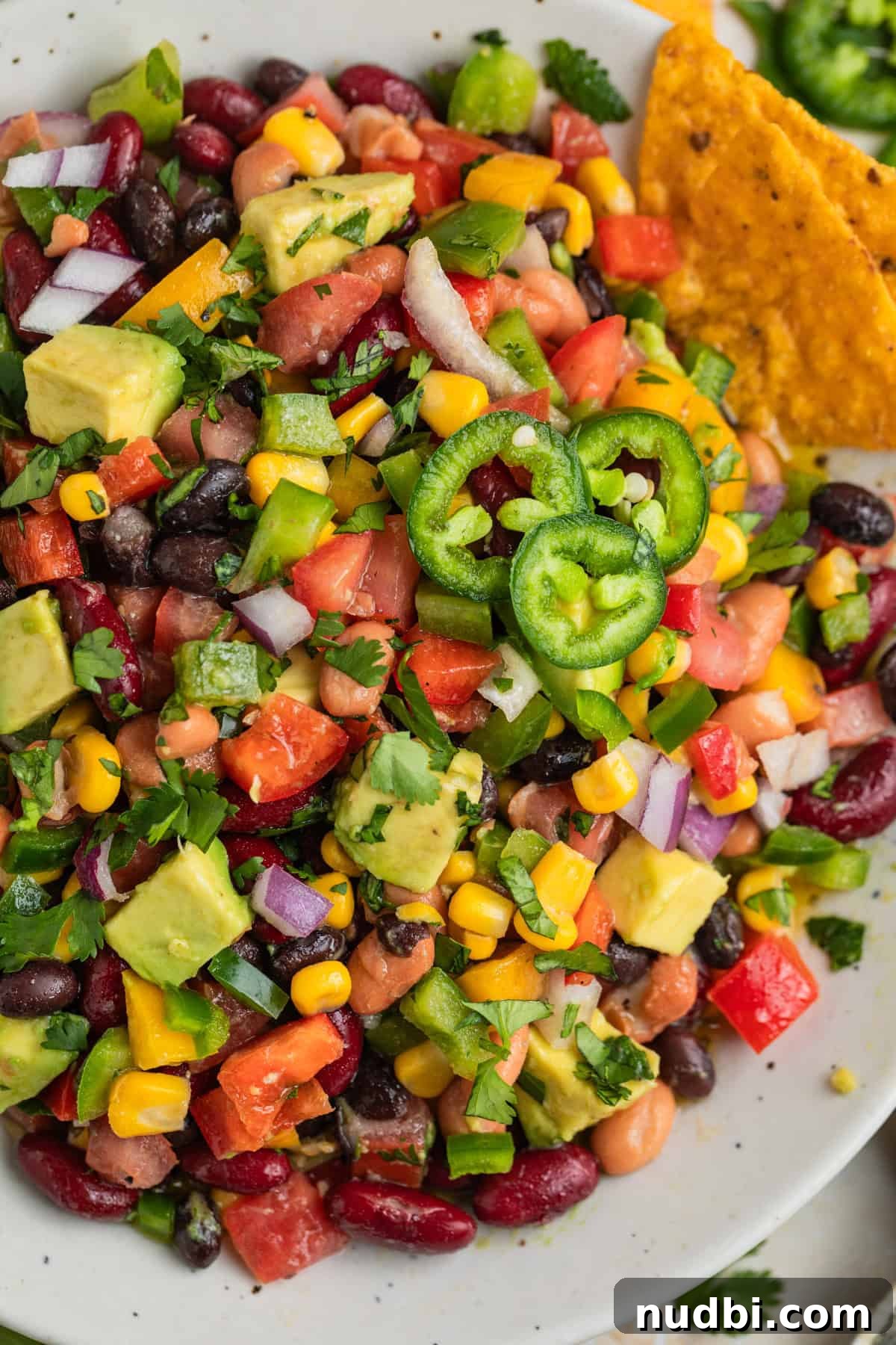 Southwestern Three-Bean, Corn & Avocado Salad Recipe 3 Tri color bean dip with fresh vegetables, corn, cilantro and other ingredients in bowl.