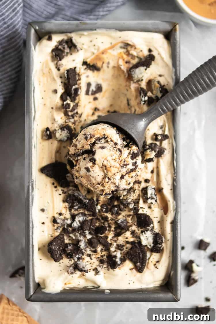 No-Churn Peanut Butter Cookies & Cream Ice Cream Recipe 3 img 14982 2