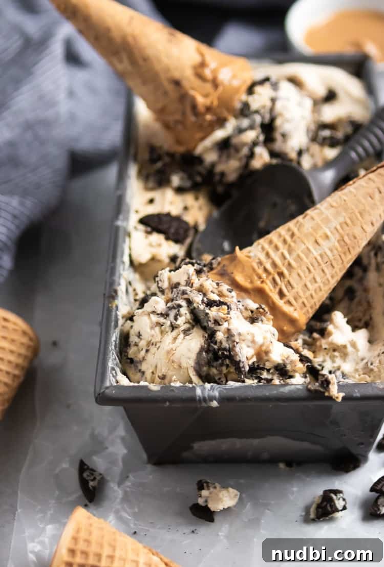 No-Churn Peanut Butter Cookies & Cream Ice Cream Recipe 4 img 14982 3
