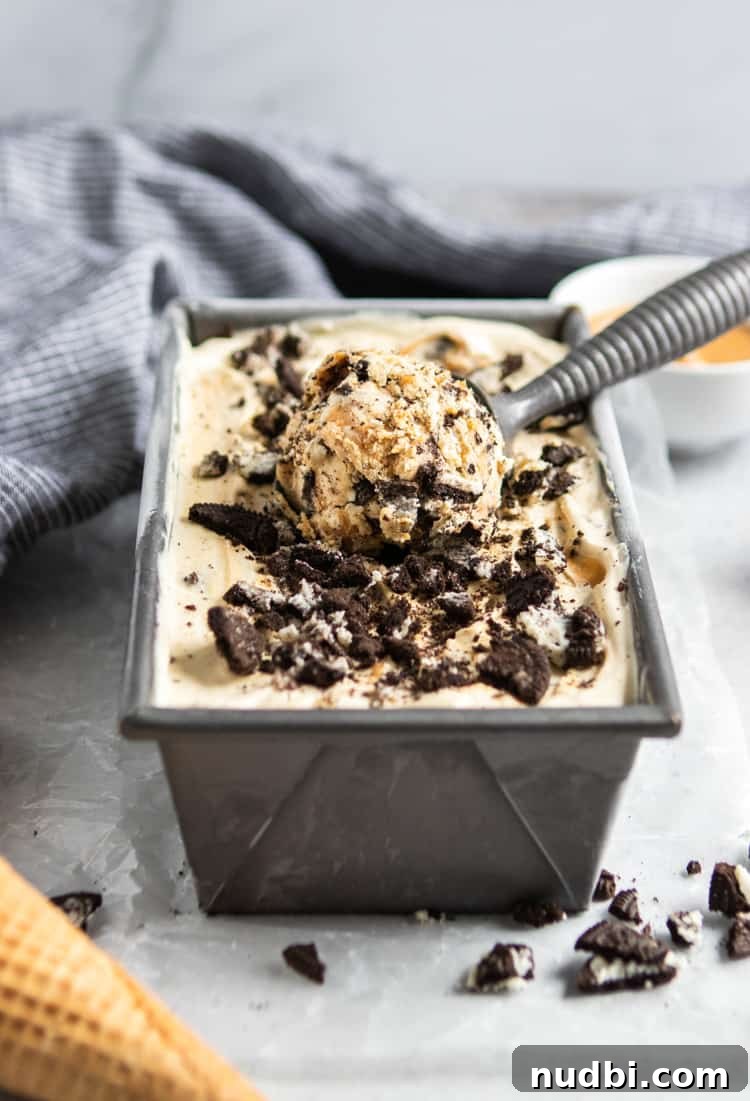 No-Churn Peanut Butter Cookies & Cream Ice Cream Recipe 5 img 14982 4