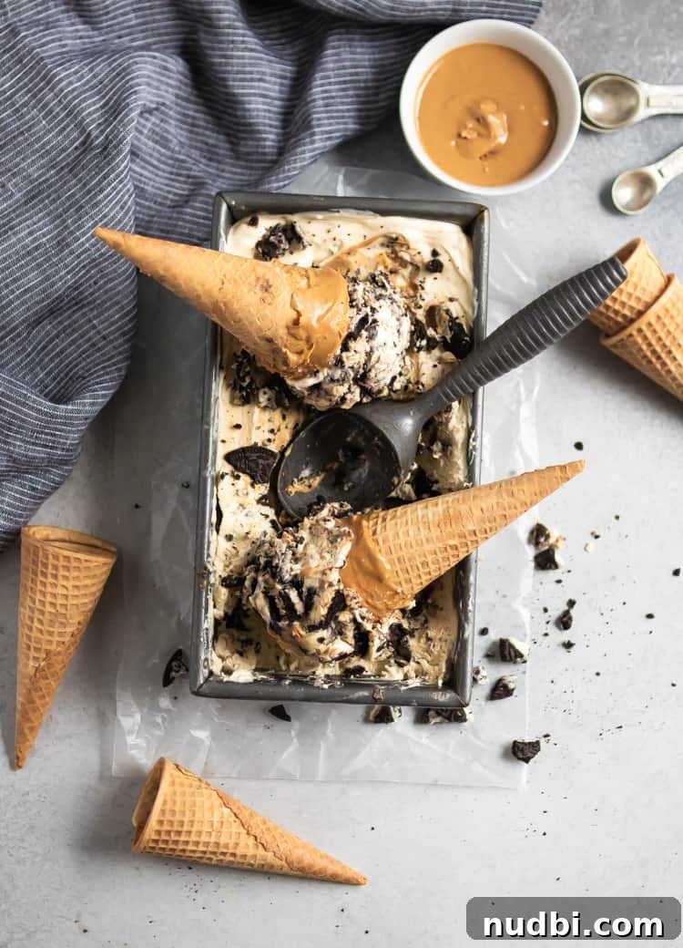 No-Churn Peanut Butter Cookies & Cream Ice Cream Recipe 6 img 14982 5