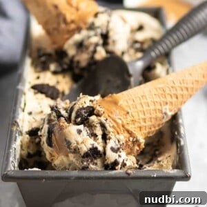 No-Churn Peanut Butter Cookies & Cream Ice Cream Recipe 7 img 14982 6