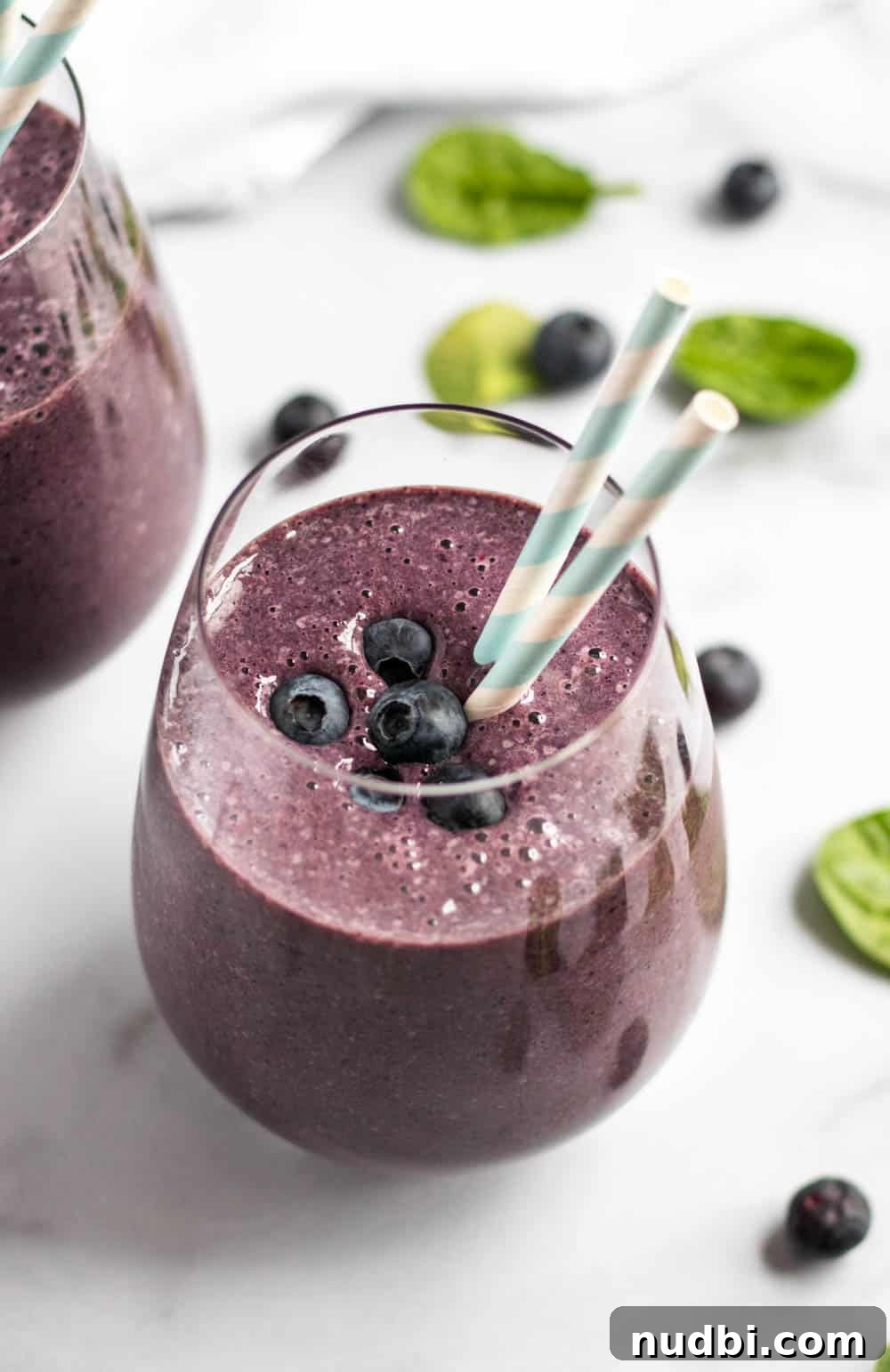 Blueberry Smoothie for Inflammation Relief and Gut Health 2 img 1550 1