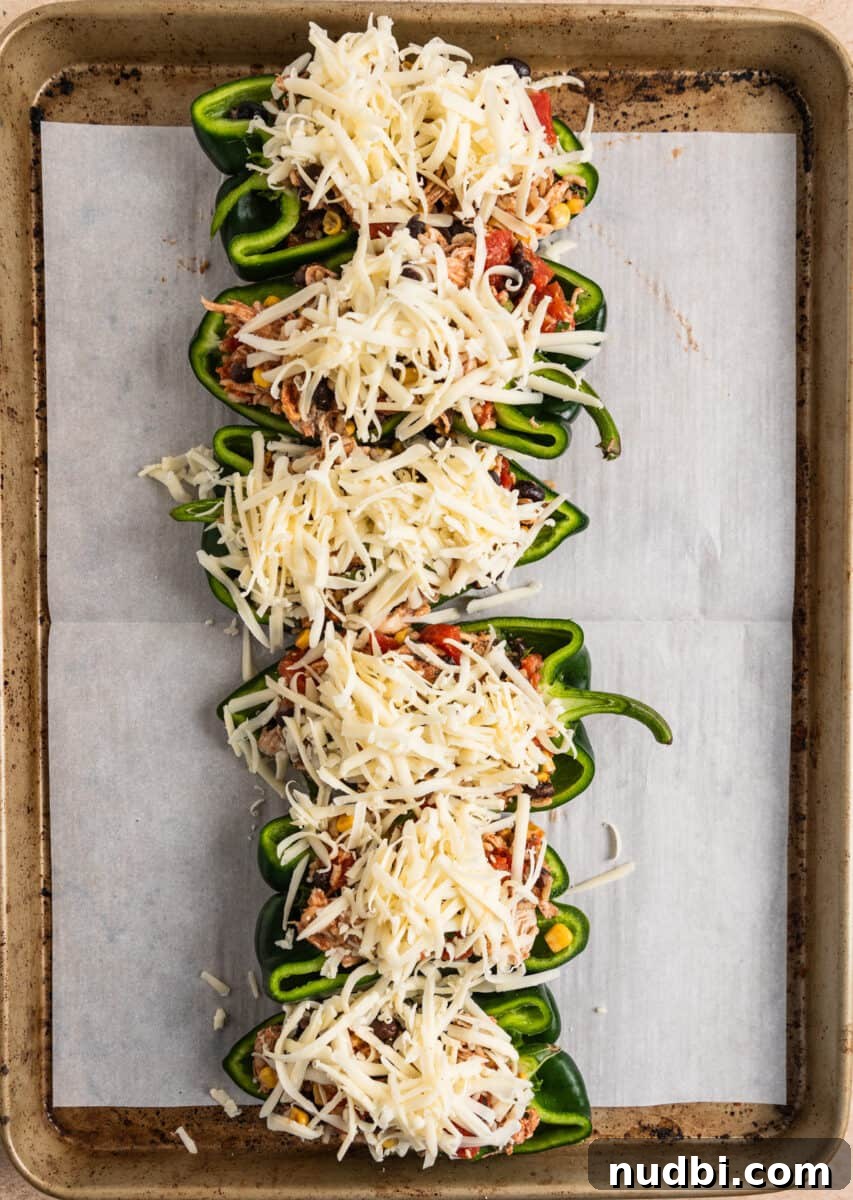 Chicken-Stuffed Poblano Peppers with Savory Cheese Filling 7 Cheese on top of chicken and rice mixture stuffed in peppers.
