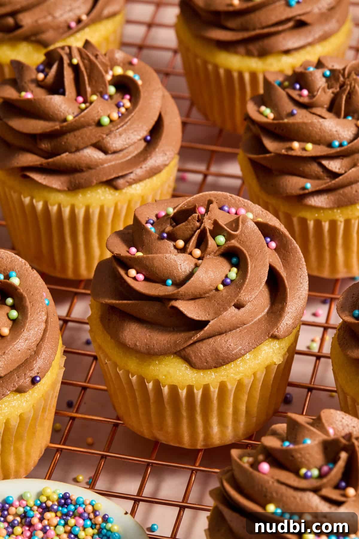Perfect Cupcake Recipes Using Cake Mix for Fluffy Results 2 Box cake vanilla cupcakes with chocolate buttercream frosting and sprinkles.