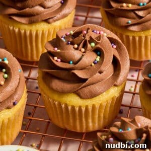 Perfect Cupcake Recipes Using Cake Mix for Fluffy Results 16 Vanilla cupcakes on wire rack with chocolate frosting.
