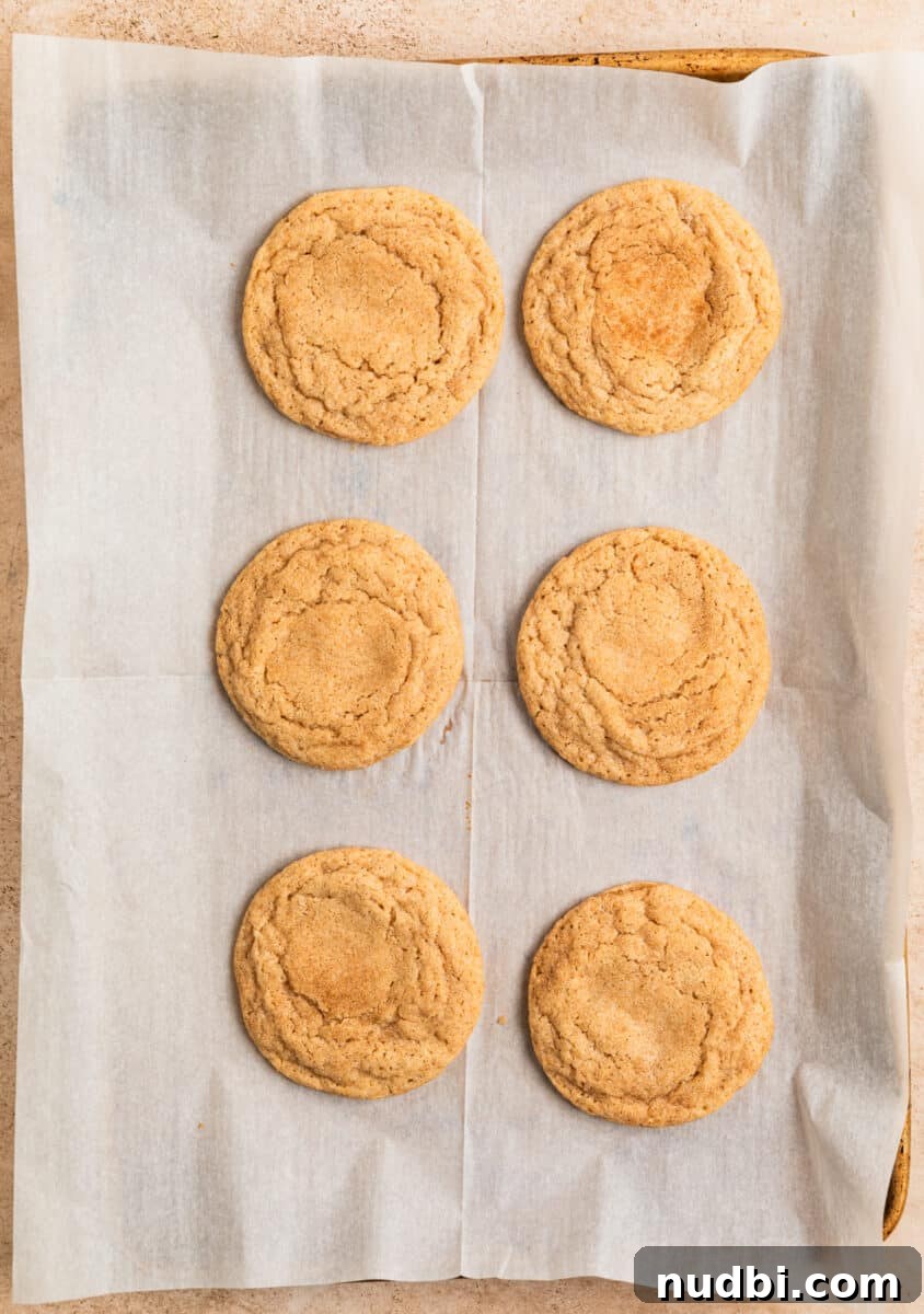 Chewy Snickerdoodle Cookies Filled with Caramel 14 Baked caramel stuffed snickerdoodle cookies freshly baked from the oven on cookie tray.
