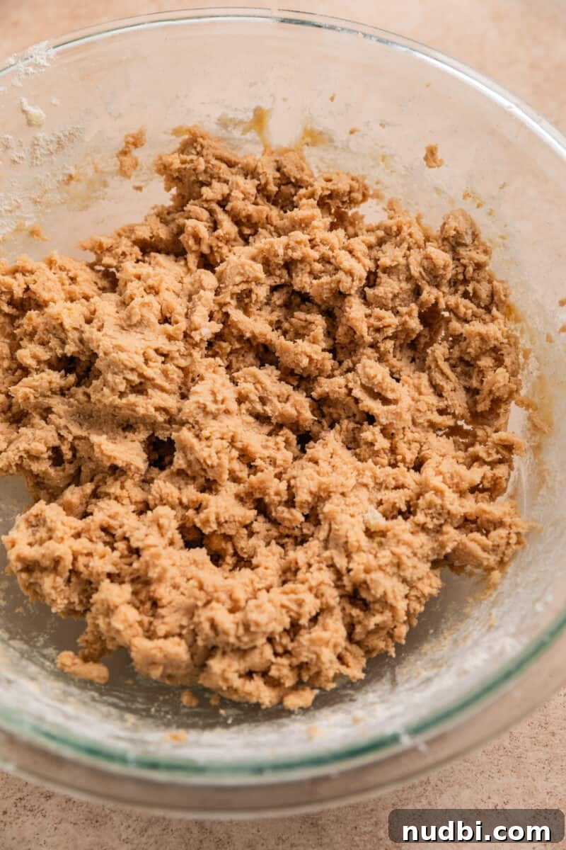 Chewy Snickerdoodle Cookies Filled with Caramel 7 Snickerdoodle cookie dough mixture in mixing bowl.