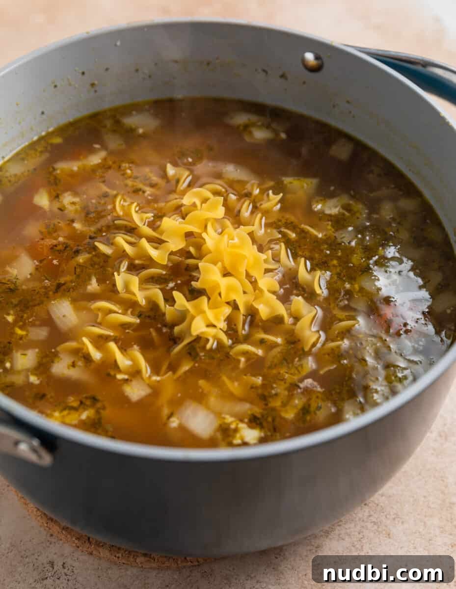 Rotisserie Chicken Noodle Soup Recipe for Quick Weeknight Meals 8 Pasta added to chicken soup pot.