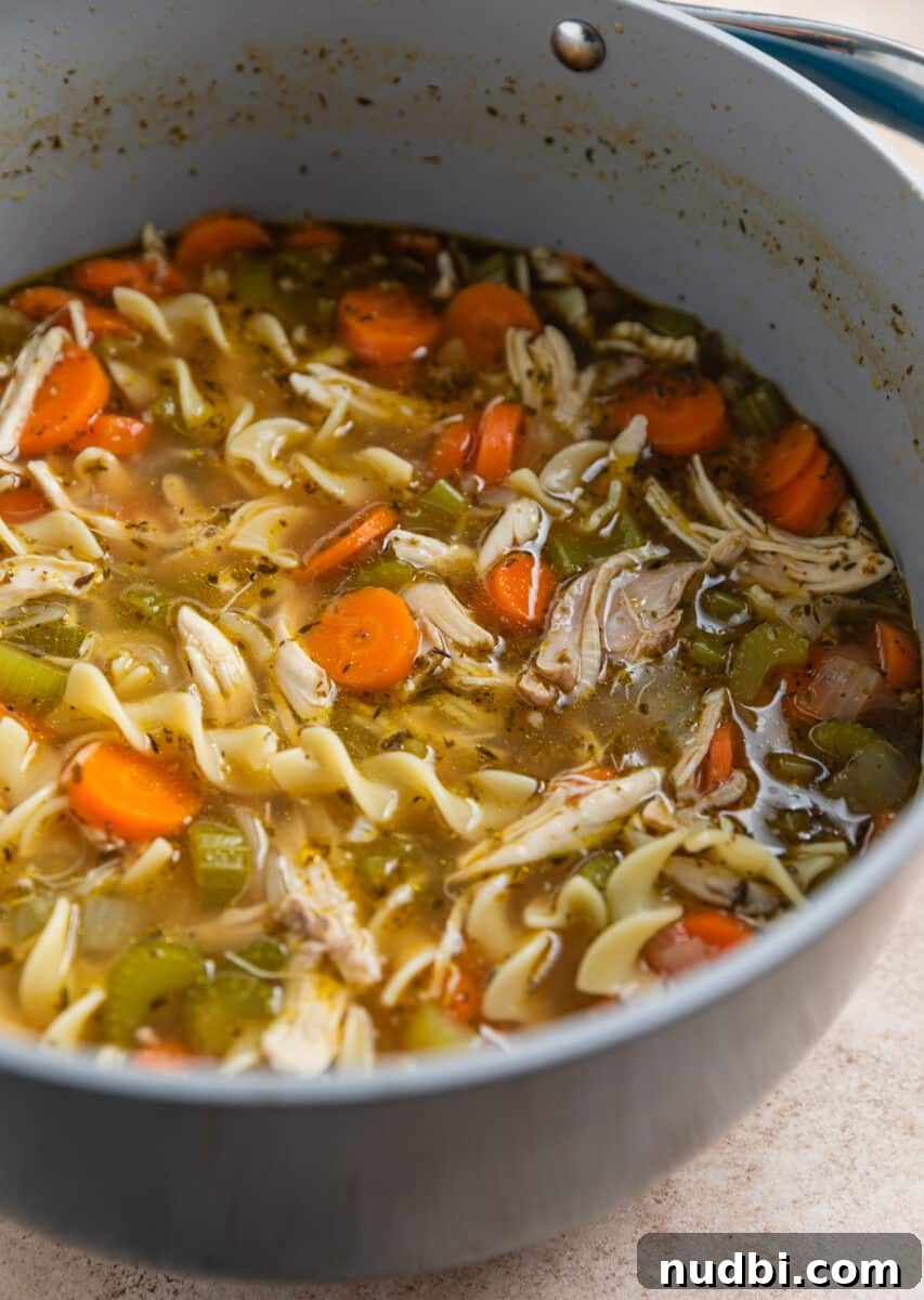 Rotisserie Chicken Noodle Soup Recipe for Quick Weeknight Meals 9 Cooked chicken noodle soup in dutch oven pot.