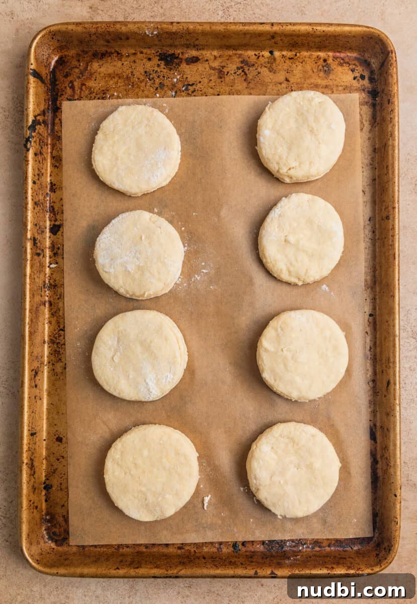 Honey Biscuits Recipe: Soft, Buttery Honey Biscuits in 30 Minutes 8 Biscuits lined on parchment lined baking sheet.