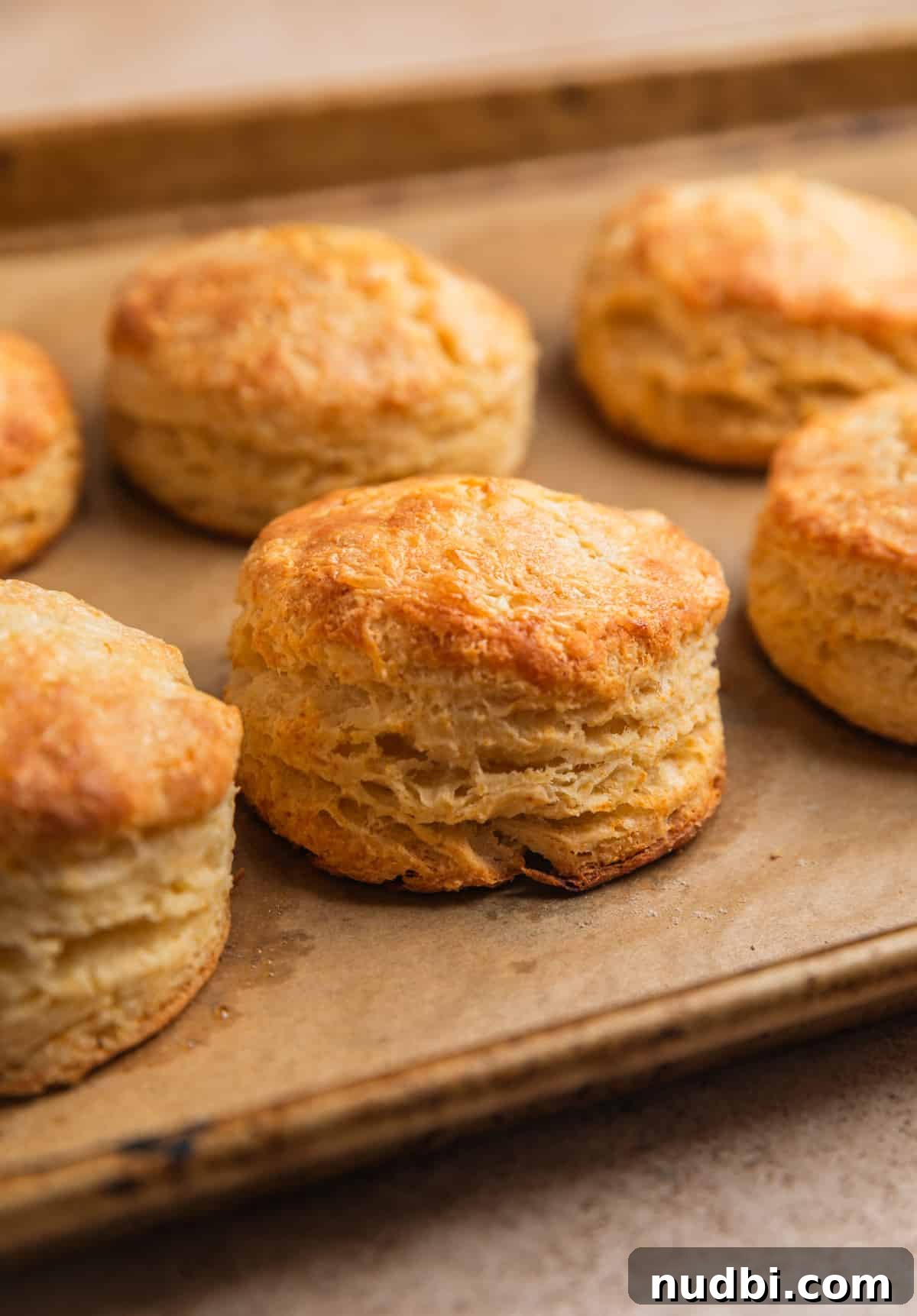 Honey Biscuits Recipe: Soft, Buttery Honey Biscuits in 30 Minutes 10 Freshly baked biscuits on parchment lined baking sheet.