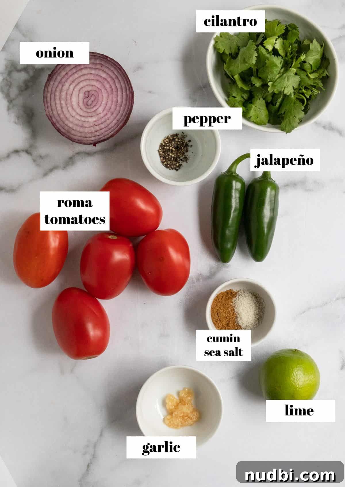 Smoky Roasted Tomato Salsa Recipe for Fresh Homemade Salsa 3 Ingredients to make salsa on counter labeled.