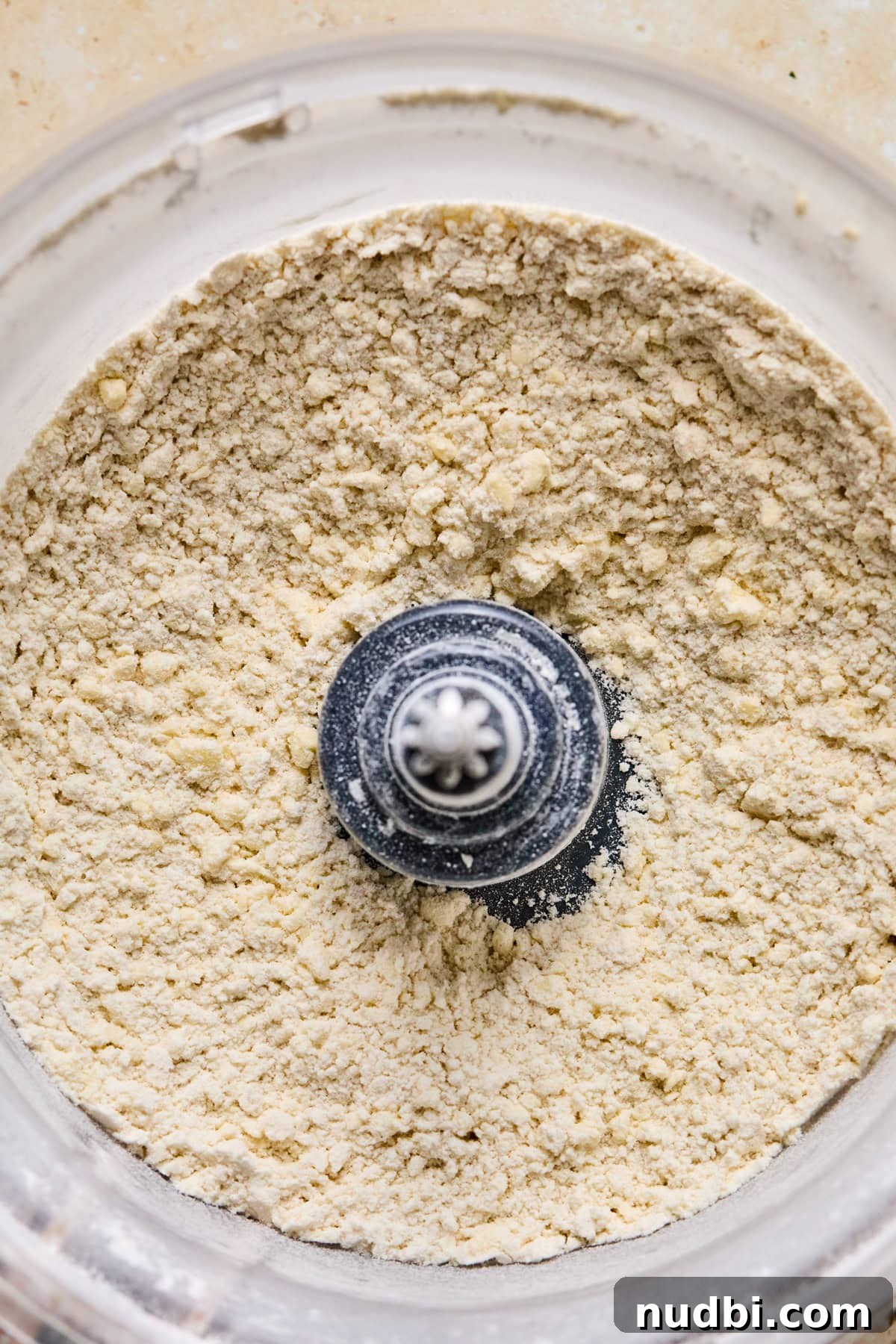 Air Fryer Blueberry Hand Pies Recipe 5 Combined flour and butter in food processor.