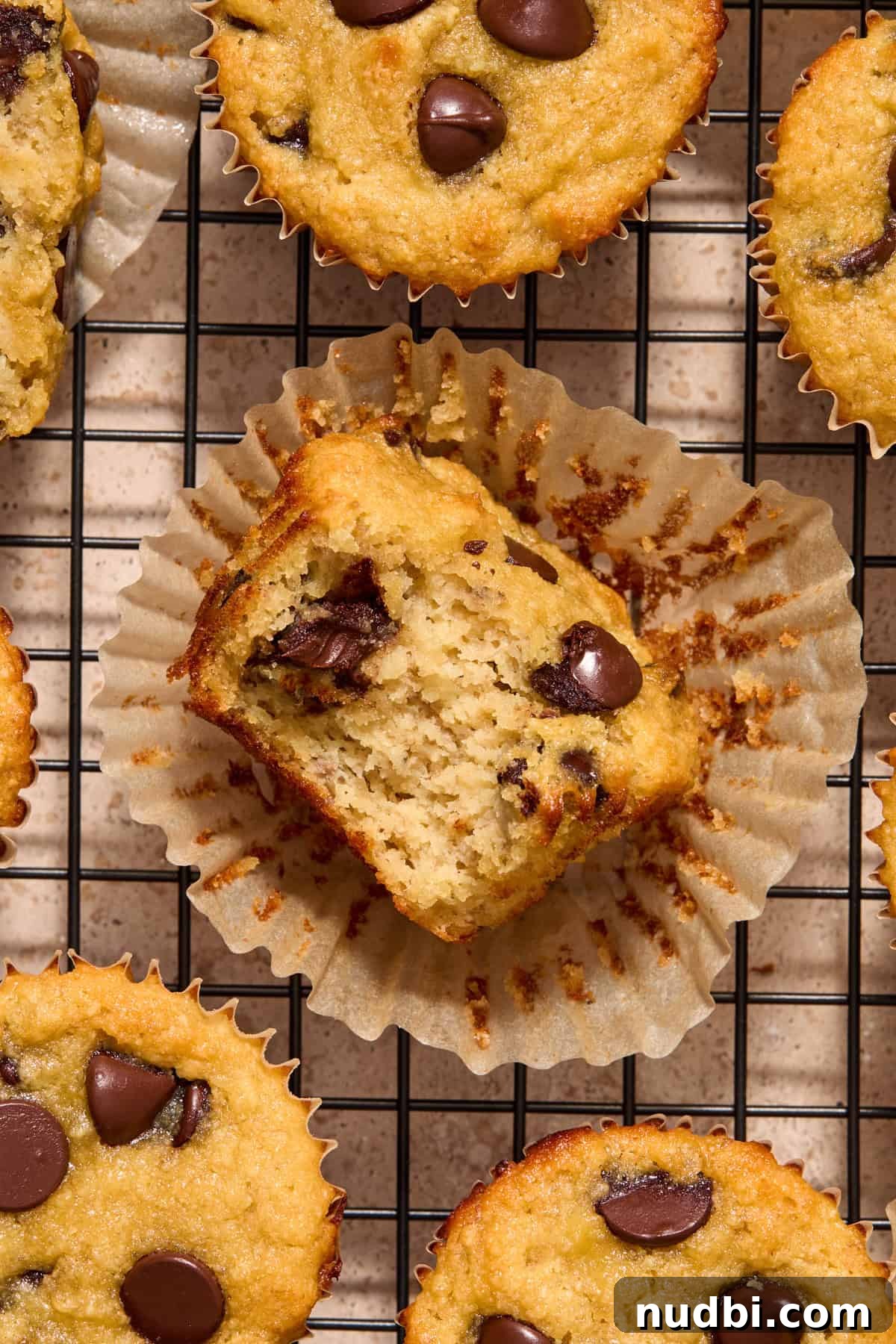 Almond Flour Banana Muffins Recipe — Moist Gluten-Free Muffins 2 Overhead view of almond flour banana bread muffins with bite taken out of one muffin to show texture.