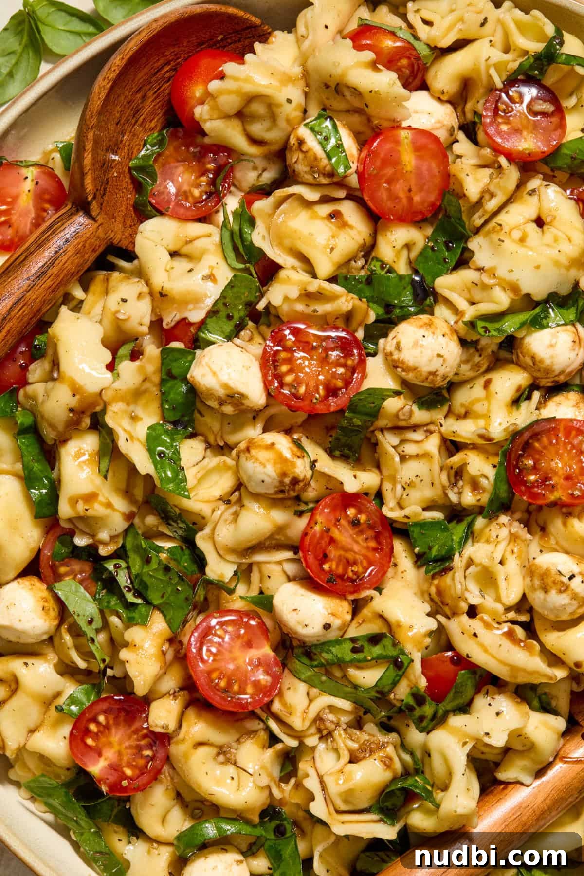 Caprese Tortellini Salad with Cherry Tomatoes and Basil 9 Close up view of tortellini pasta salad.