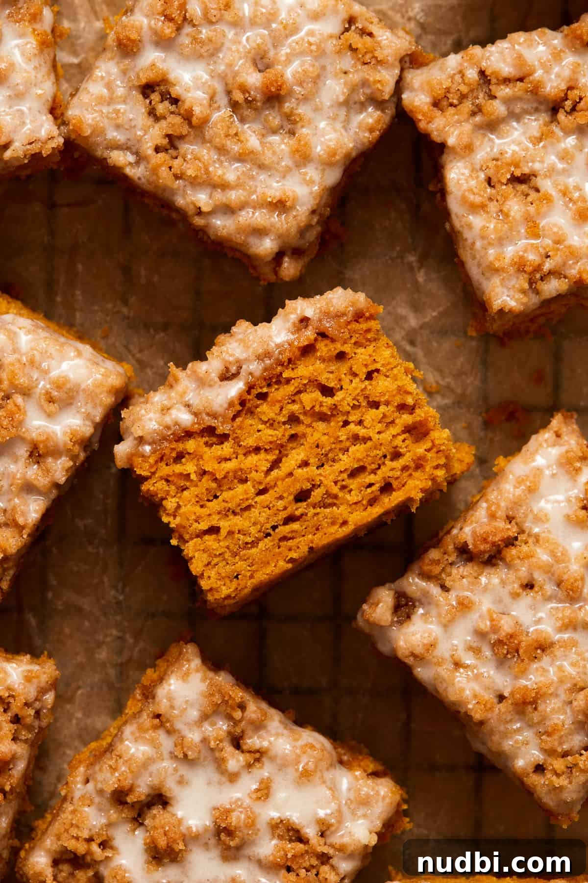 Cinnamon Streusel Pumpkin Coffee Cake Recipe for Fall Baking 2 Cinnamon streusel topped pumpkin coffee cake arranged on brown parchment with texture of cake showing from side of one slice.