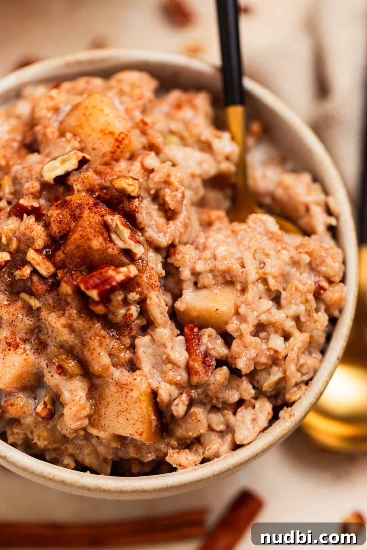 Slow Cooker Apple Cinnamon Oatmeal Recipe for Breakfast 2 Bowl with slow cooker apple cinnamon oatmeal with spoon scooping in.