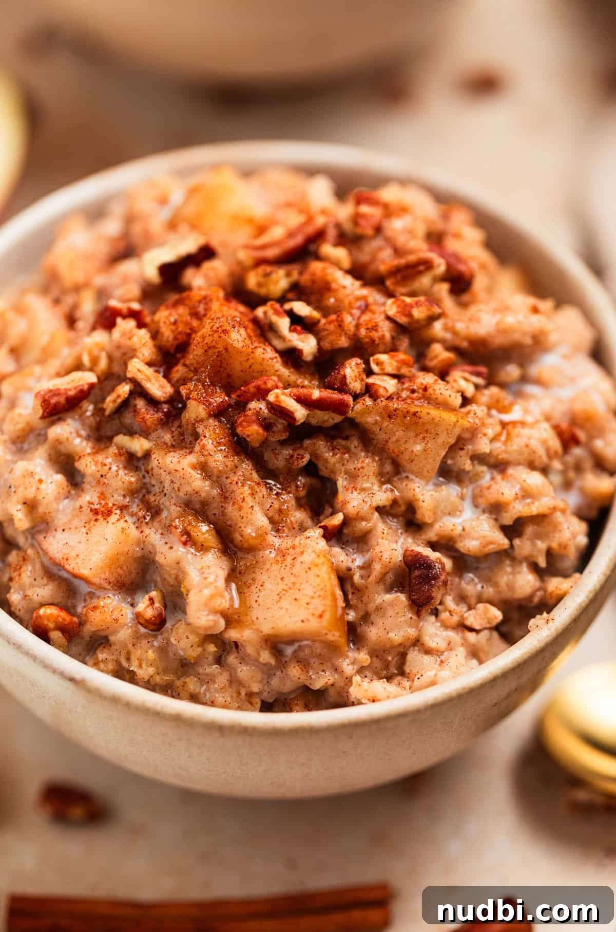 Slow Cooker Apple Cinnamon Oatmeal Recipe for Breakfast 8 Bowl of slow cooker oatmeal with apples, cinnamon, and chopped pecans.