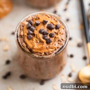 Creamy Overnight Oats Recipes for Quick Healthy Breakfasts 7 Chocolate chip and peanut butter topped chocolate overnight oats in glass with spoon beside it.