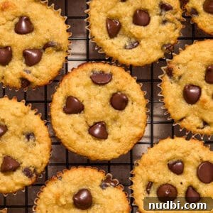 Almond flour banana muffins arranged on cooling rack with chocolate chips pressed into tops of muffins.