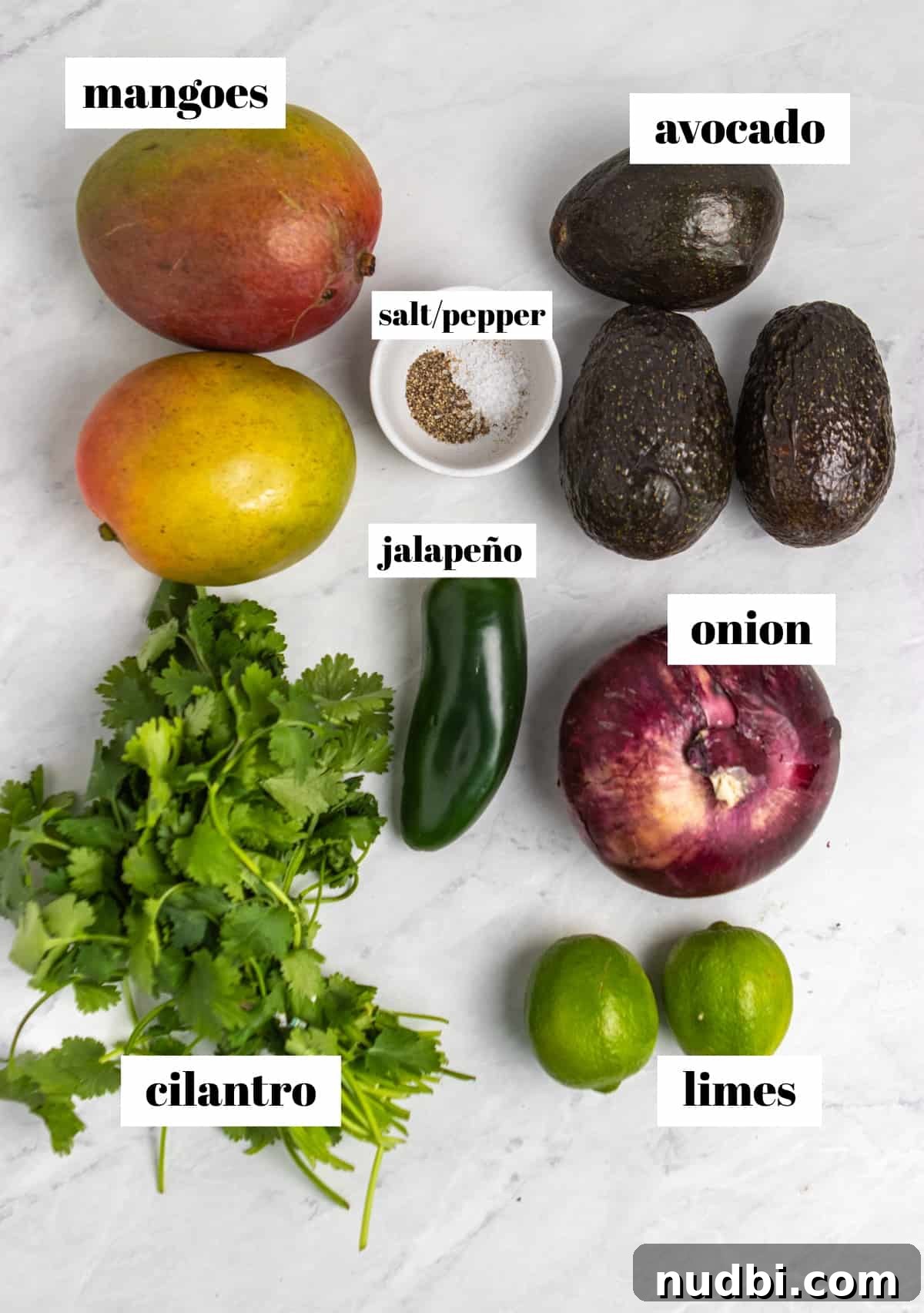 Mango and Avocado Salsa Recipe — Fresh Tropical Dip Guide 3 Jalapeños, onion, mangoes, avocados and other ingredients on counter labeled.