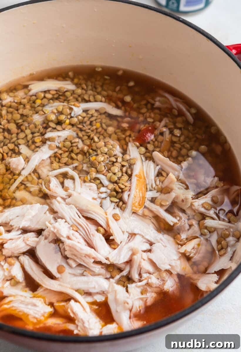Hearty Turkey and Lentil Soup Recipe for Weeknight Dinners 5 Turkey and lentils added to lentil soup pot.