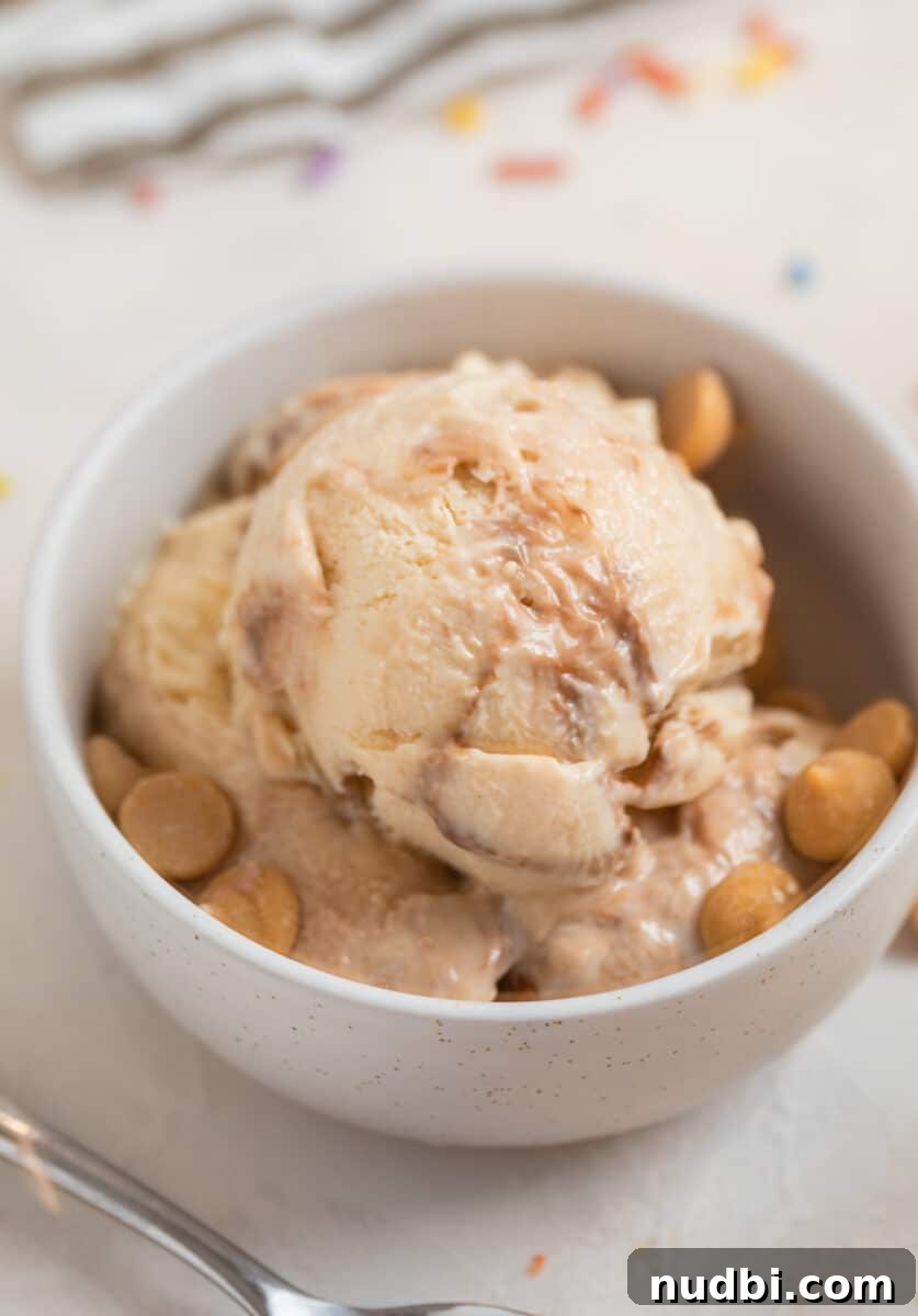 Creamy Cottage Cheese Ice Cream Recipe — Low-Sugar Frozen Dessert 8 Peanut butter fudge cottage cheese ice cream scooped in white dish with peanut butter chips.