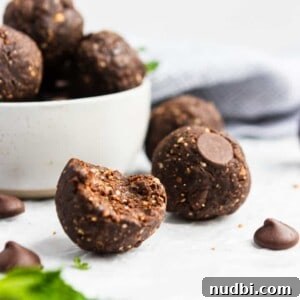 Peppermint Chip No-Bake Brownie Bites Recipe 5 img 3935 4