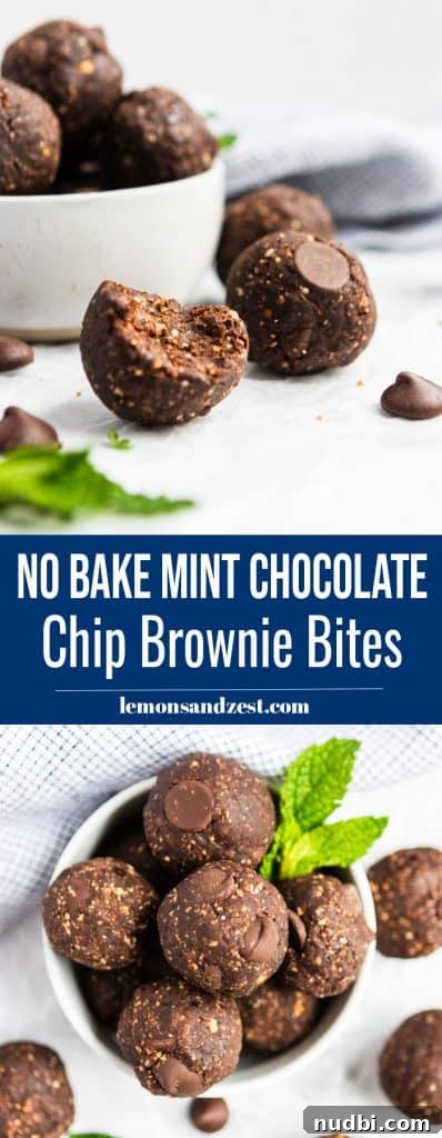 Peppermint Chip No-Bake Brownie Bites Recipe 6 No Bake Brownie Bite Pin.