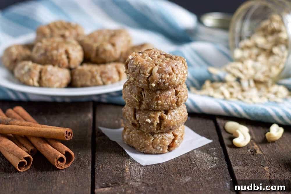 No-Bake Snickerdoodle Cookie Bites: Cinnamon Sugar No-Bake Treats 2 img 3949 1