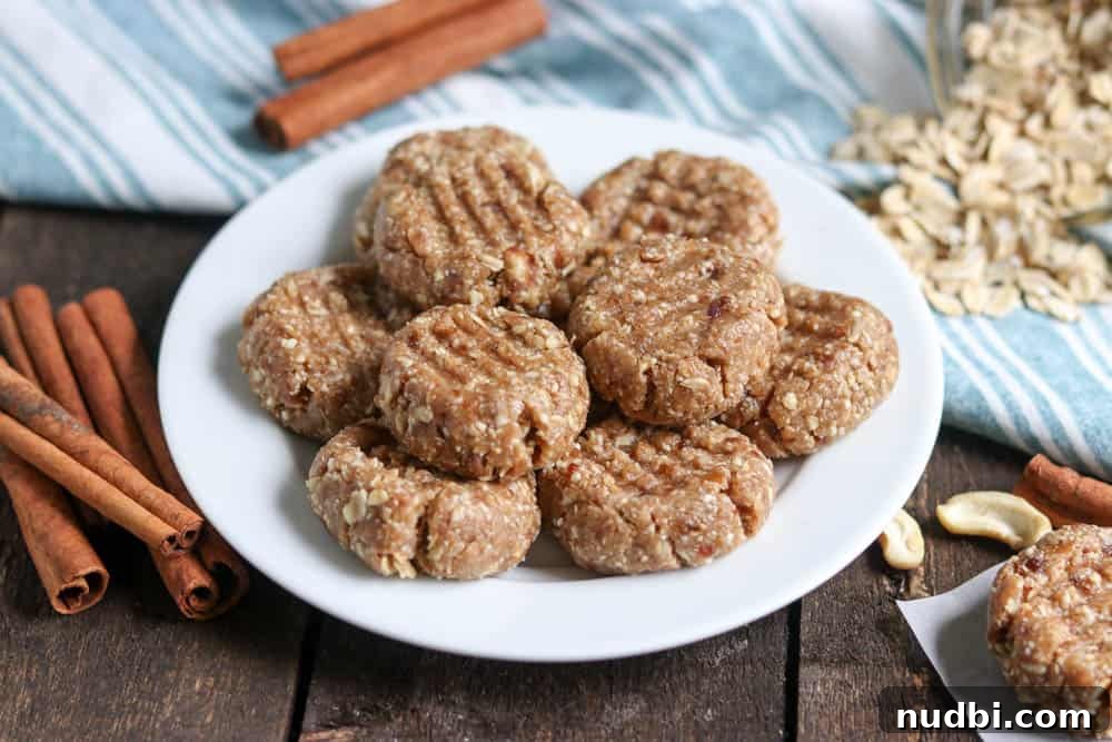 No-Bake Snickerdoodle Cookie Bites: Cinnamon Sugar No-Bake Treats 3 img 3949 2
