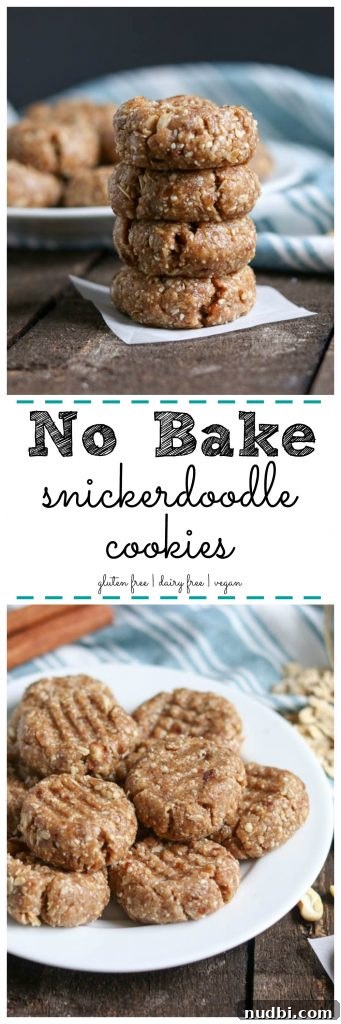 No-Bake Snickerdoodle Cookie Bites: Cinnamon Sugar No-Bake Treats 5 No Bake Snickerdoodle Cookies. Be Whole. Be You.