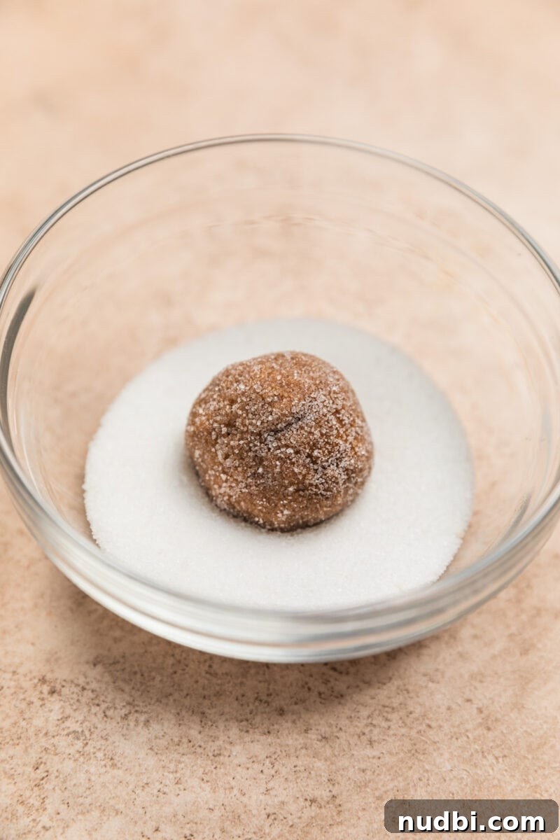 Chewy Ginger Cream Cookie Recipe for Perfect Holiday Baking 8 Rolled cookie dough ball in bowl with sugar.