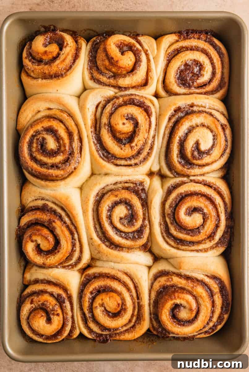 Fluffy Buttermilk Cinnamon Rolls from Scratch 17 Freshly baked buttermilk cinnamon rolls.