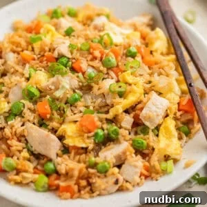White plate with chicken fried rice topped with sliced scallions.