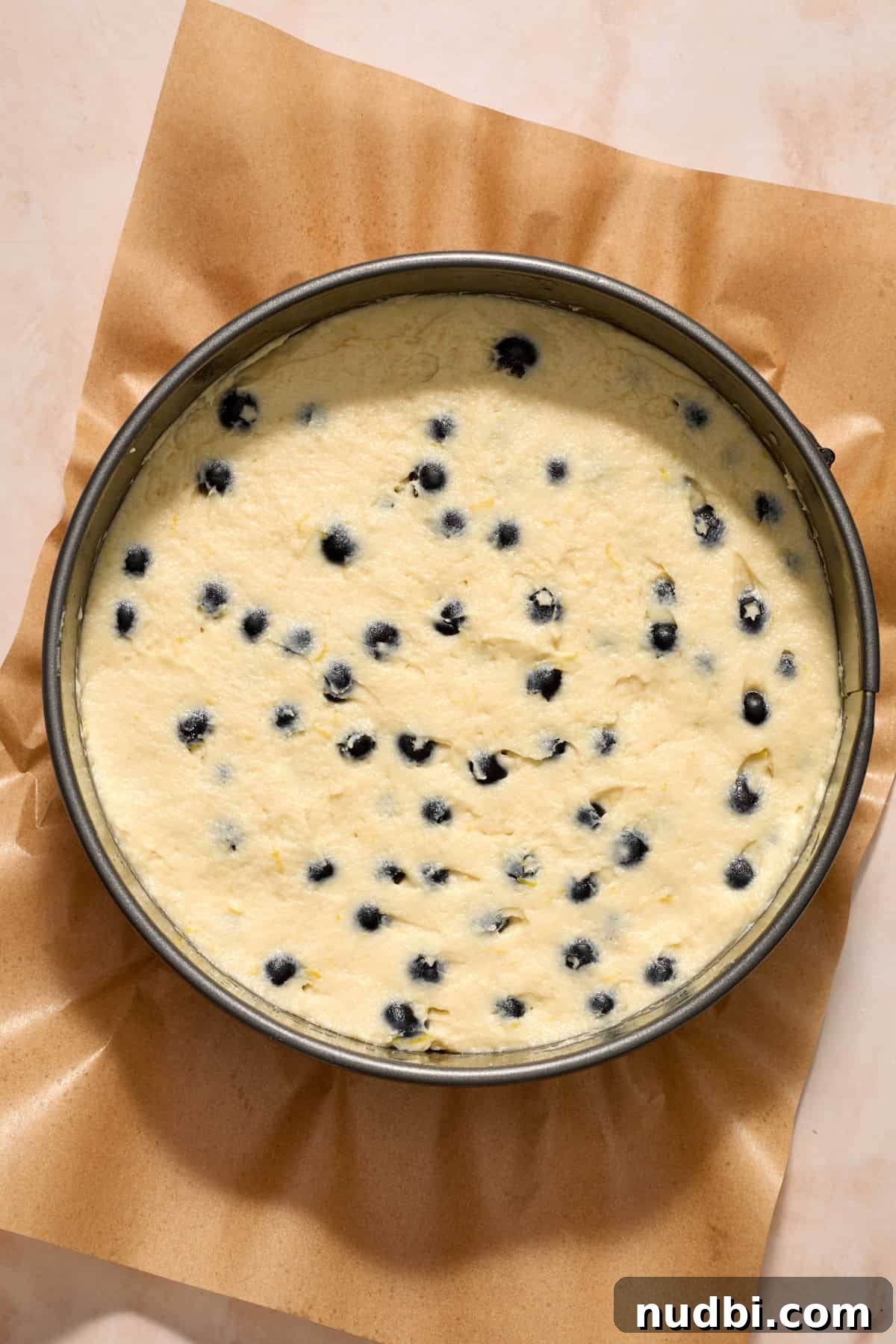 Blueberry Lemon Coffee Cake Recipe — Moist Citrus Bundt Cake 12 Springform pan with coffee cake batter.